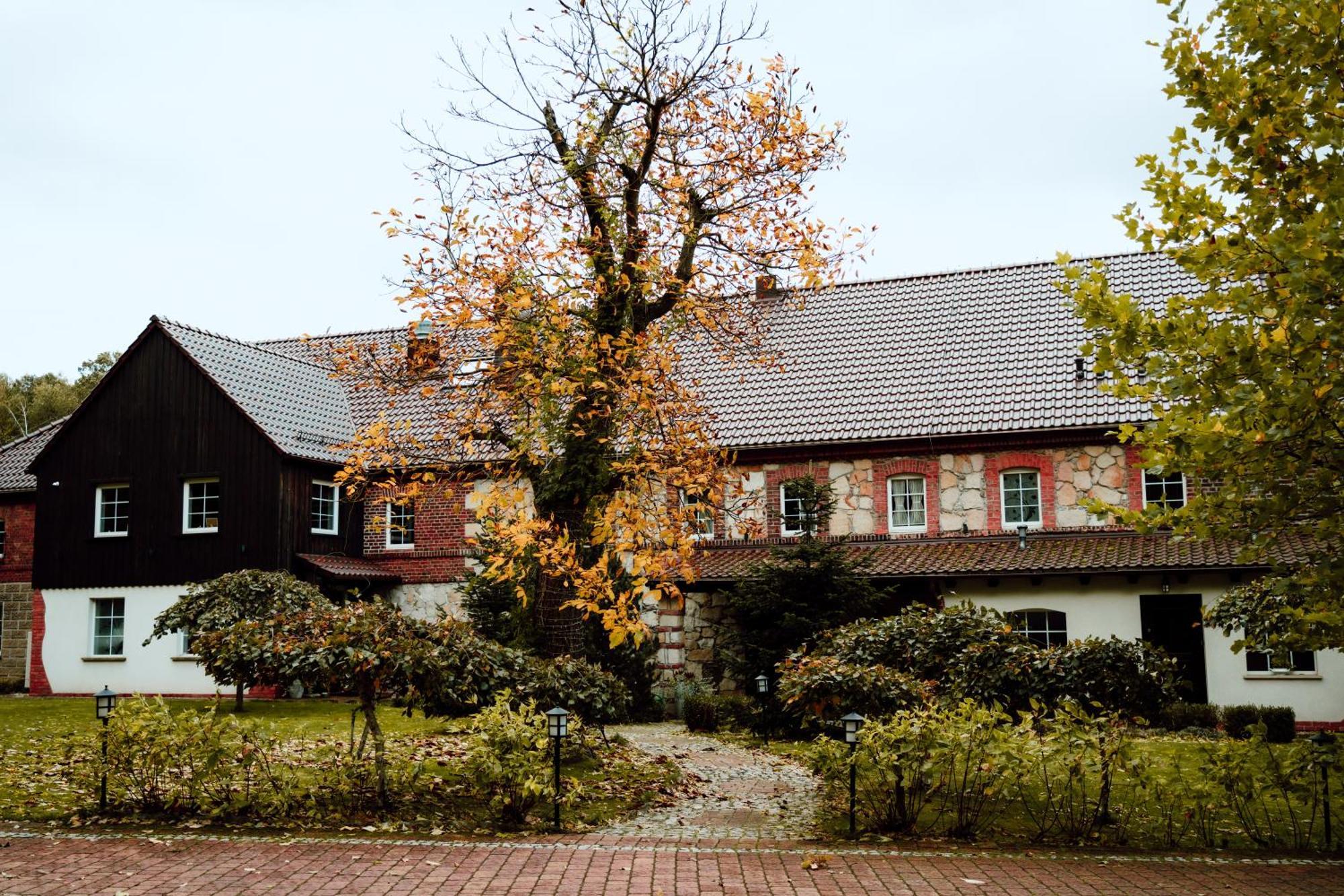 Na Uboczu Villa Gryfow Slaski Exterior photo